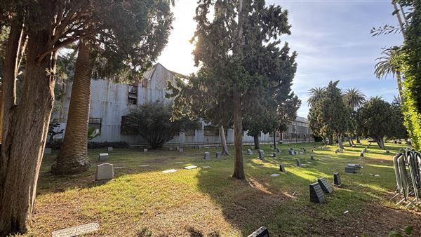 Hollywood Forever Cemetery (11/7/2024 - Credits: Brandy Davis)