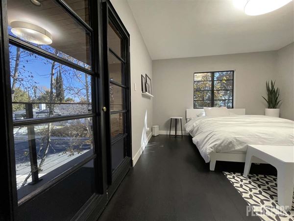 Unique Mid-Century Modern Home on 11,000 SF Corner Lot with Large Swimming Pool (11/22/2024 - Credits: Natalie Tarpinian)
