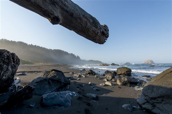 Del Norte Coast Redwoods State Park (SP) within the Redwood National and State Parks (6/26/2015 - Credits: Brian Baer)