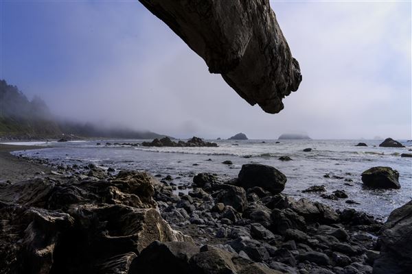Del Norte Coast Redwoods State Park (SP) within the Redwood National and State Parks (8/12/2023 - Credits: Brian Baer)
