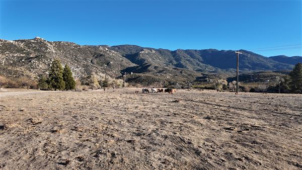 Twin Pines Ranch (1/13/2025)