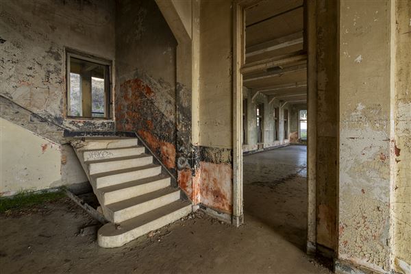 Angel Island State Park (SP) (12/10/2024 - Credits: Brian Baer)