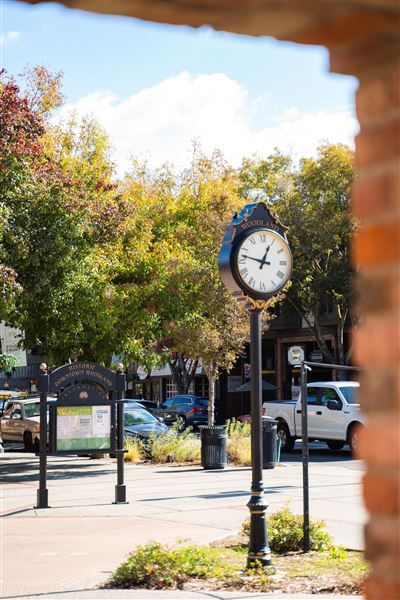 City of Woodland (10/22/2021 - Credits: VisitYolo)