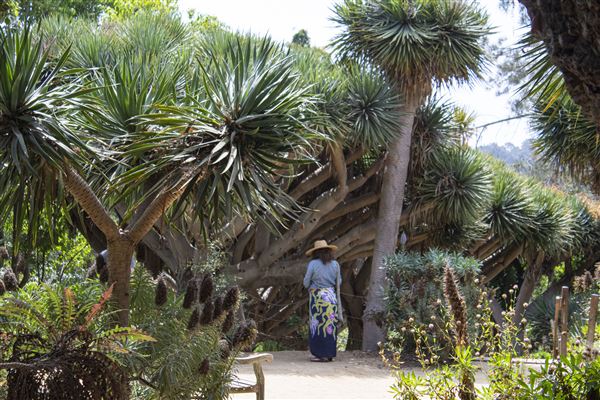 San Diego Botanic Garden (2/20/2025 - Credits: San Diego Botanic Garden)