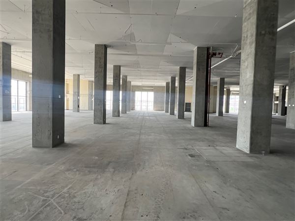 Sears Building (1/10/2025 - Credits: Eric Shomof)