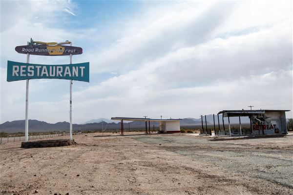 Road Runner's Retreat (3/4/2025 - Credits: Ken Lee and Beth Murray)