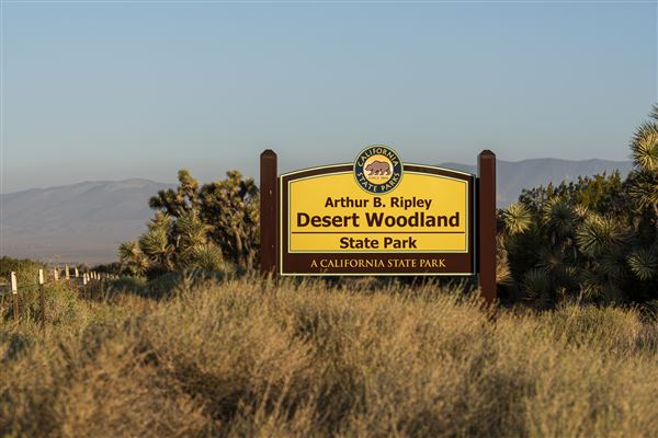 Arthur B. Ripley Desert Woodland State Park (SP) (9/16/2021 - Credits: Brian Baer)