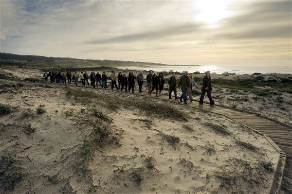 Asilomar State Beach and Conference Grounds (2/3/2010 - Credits: Brian Baer)