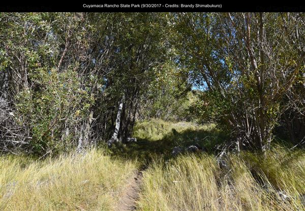Cuyamaca Rancho State Park (SP), Lake Cuyamaca and Grand Valley Rapids (9/30/2017 - Credits: Brandy Shimabukuro)