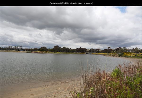 Fiesta Island (5/5/2023 - Credits: Sabrina Moreno)