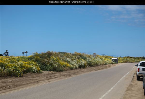 Fiesta Island (5/5/2023 - Credits: Sabrina Moreno)