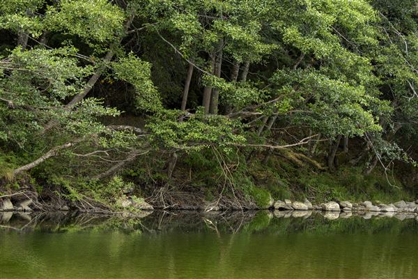 Benbow State Recreation Area (SRA) (8/22/2017 - Credits: Brian Baer)