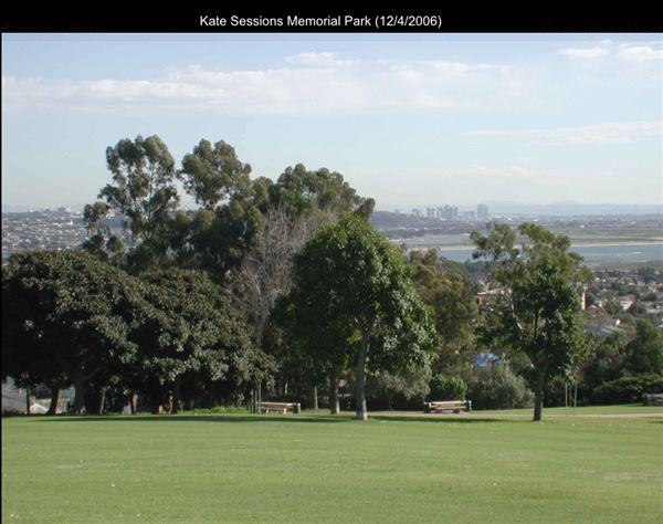 Kate Sessions Memorial Park (12/4/2006 - Credits: San Diego Film Commision)