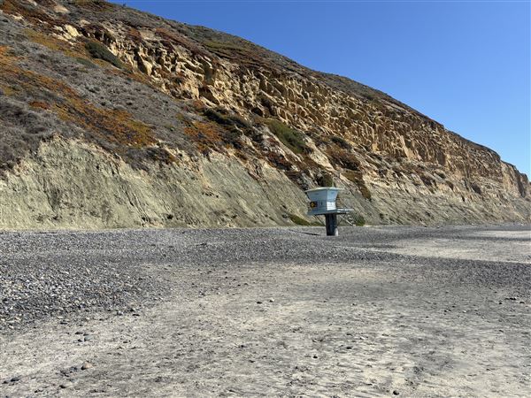 Torrey Pines State Beach (SB) (3/8/2025 - Credits: Brandy Davis)