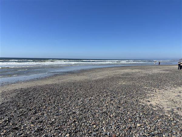 Torrey Pines State Beach (SB) (3/8/2025 - Credits: Brandy Davis)
