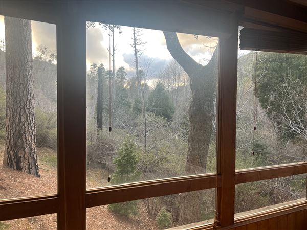 4 Log Cabins and 15 Wooded Acres Near Crestline, CA (4/9/2025 - Credits: Michelle Dowd)