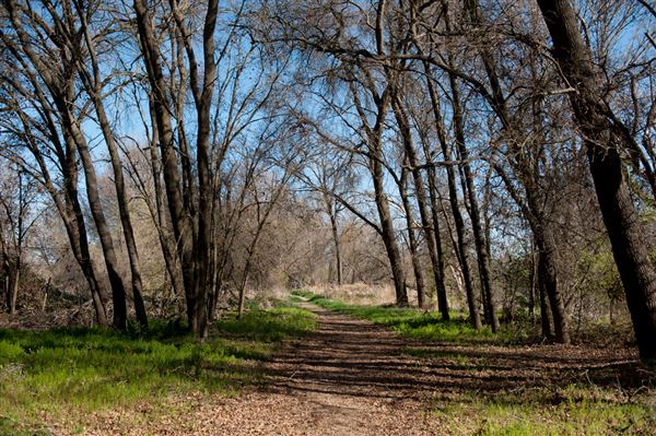 Bidwell-Sacramento River State Park (SP) (3/7/2012 - Credits: Brian Baer)