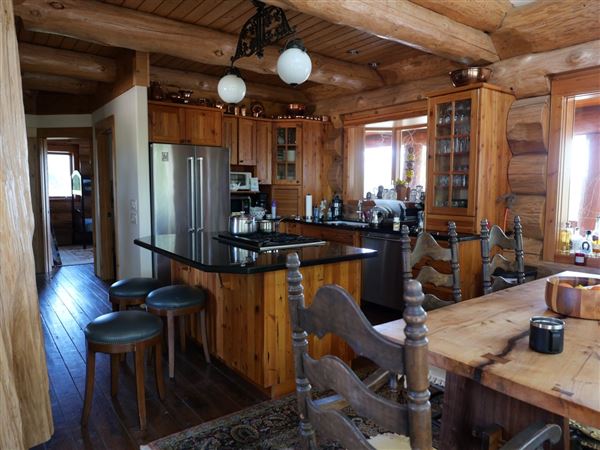 Log Cabin (3/4/2025 - Credits: Dave Mortell)