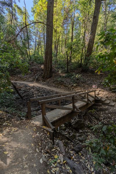 Castle Rock State Park (SP) (7/17/2023 - Credits: Brian Baer)