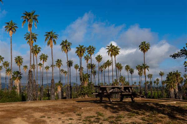 California Citrus State Historic Park (SHP) (3/20/2022 - Credits: Brian Baer)