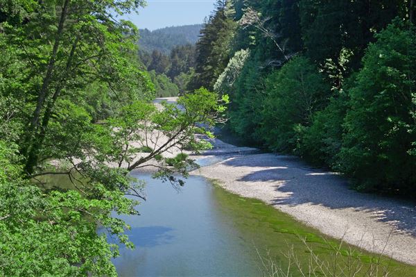 Cazadero (4/17/2025 - Credits: Al Mueller)