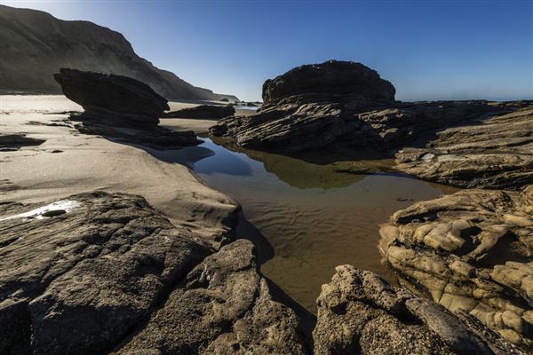 Crystal Cove State Park (SP) (3/23/2022 - Credits: Brian Baer)