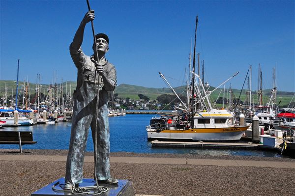 Bodega Bay (4/18/2025 - Credits: Al Mueller)