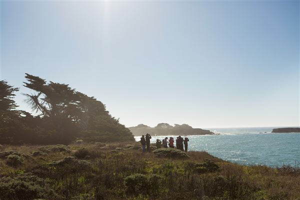 Gualala Point Regional Park (4/21/2025 - Credits: Photo Courtesy of Sonoma County)