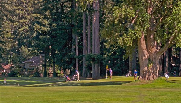 Northwood Golf Club (4/22/2025 - Credits: Al Mueller)