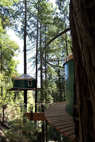 Occidental - Sonoma Canopy Tours - Sonoma Zipline Adventures (4/22/2025 - Credits: Photo Courtesy of Sonoma County)
