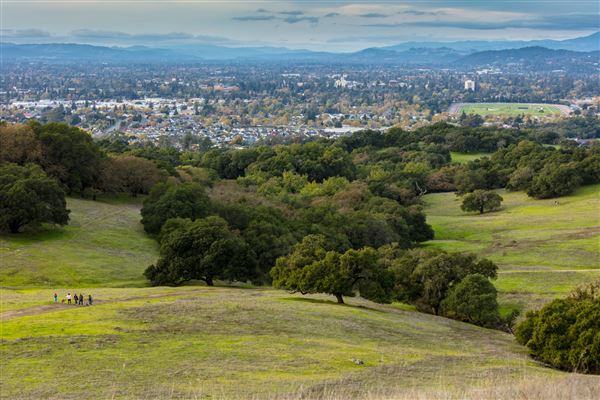 City of Santa Rosa - Taylor Mountain (4/23/2025 - Credits: Photo Courtesy of Sonoma County)