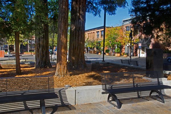 City of Santa Rosa - Courthouse Square (4/23/2025 - Credits: Al Mueller)