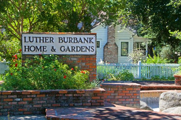 City of Santa Rosa - Luther Burbank Home and Gardens (4/23/2025 - Credits: Al Mueller)