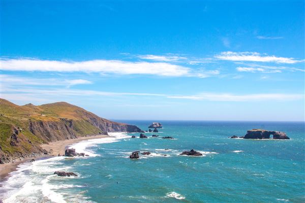 Sonoma Coast State Park (SP) (4/24/2025 - Credits: Spencer Spellman)