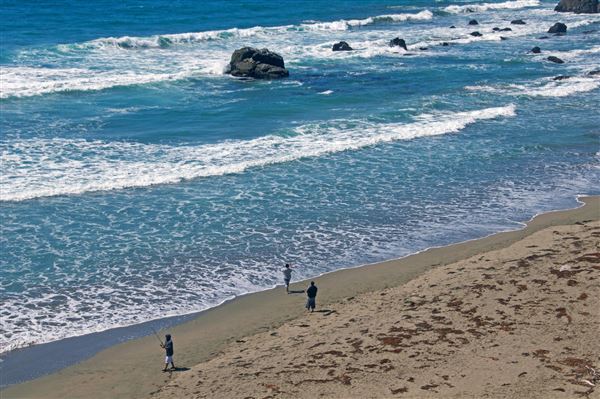Sonoma Coast State Park (SP) - Miwok Beach - Sonoma Coast State Park (4/24/2025 - Credits: Al Mueller)
