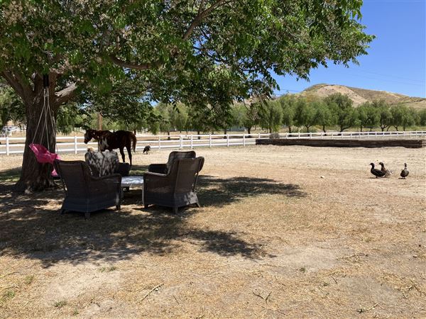 Sunny Canyon Ranch (4/28/2025 - Credits: submitted by: Lynn Borneman)