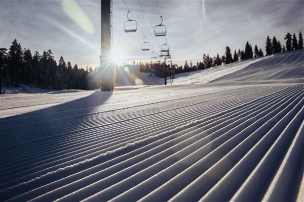 Dodge Ridge Mountain Resort (5/28/2025 - Credits: Dodge Ridge Mountain Resort)