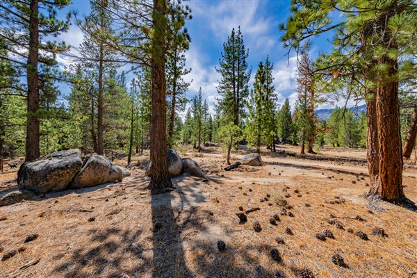 Washoe Meadows State Park (SP) (10/4/2024 - Credits: Brian Baer)