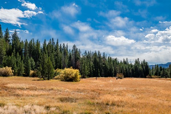 Washoe Meadows State Park (SP) (10/4/2024 - Credits: Brian Baer)