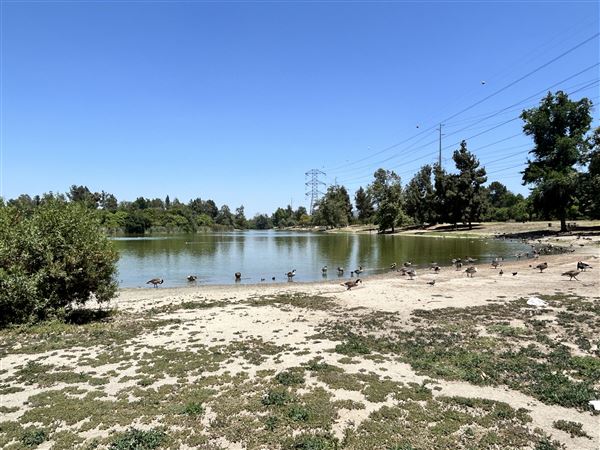Whittier Narrows Recreation Area / LA County Parks - US Army Corps of Engineers - Legg Lake (6/17/2025 - Credits: Brandy Davis)