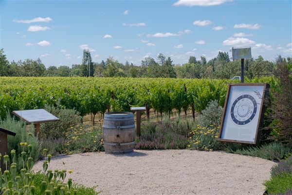 DeLoach Winery (6/30/2025 - Credits: Mariah Harkey)