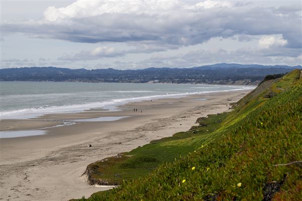 Sunset State Beach (SB) (3/9/2024 - Credits: Brian Baer)