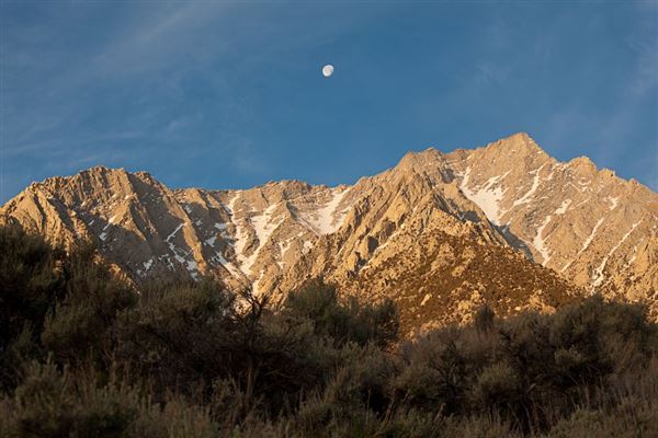 Lone Pine (7/25/2025 - Credits: Visit USA Parks)