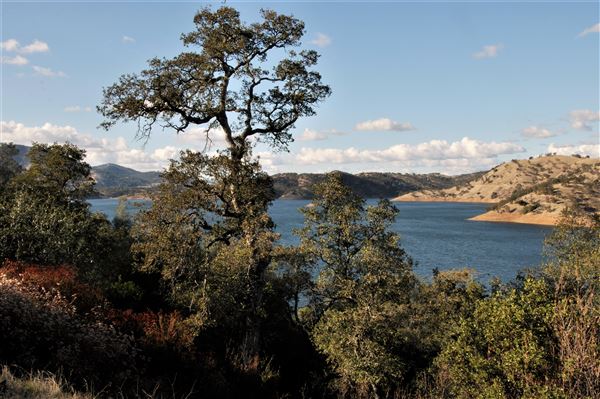 New Melones Reservoir and Stevnot Bridge (8/28/2025 - Credits: U.S. Bureau of Reclamation)