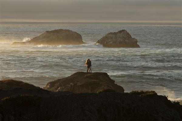 Garrapata State Park (SP) (10/15/2024 - Credits: Brian Baer)