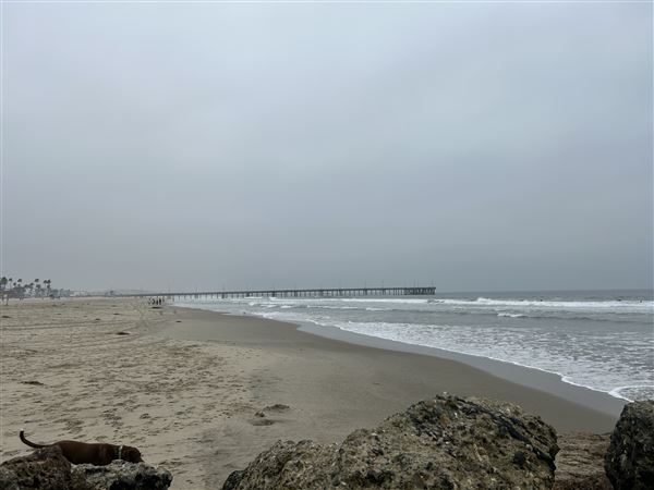 Venice Beach, Boardwalk, Pier & Recreation Center (8/14/2025 - Credits: Brandy Davis)