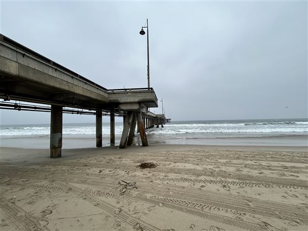 Venice Beach, Boardwalk, Pier & Recreation Center (8/14/2025 - Credits: Brandy Davis)
