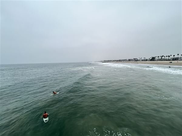 Venice Beach, Boardwalk, Pier & Recreation Center (8/14/2025 - Credits: Brandy Davis)