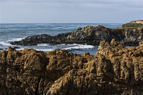 Harmony Headlands State Park (SP) (11/28/2016 - Credits: Brian Baer)