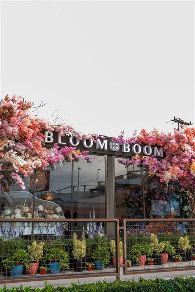 Bloom Boom (9/11/2025 - Credits: submitted by: Megan Hoelle)